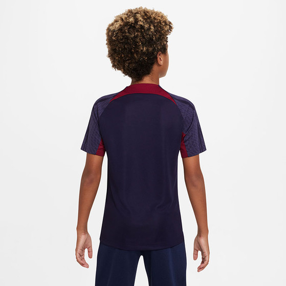 Nike Paris Saint-Germain Strike Trainingsset Kids