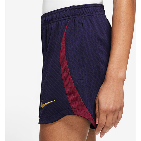 Nike Paris Saint-Germain Strike Träningsset Dam
