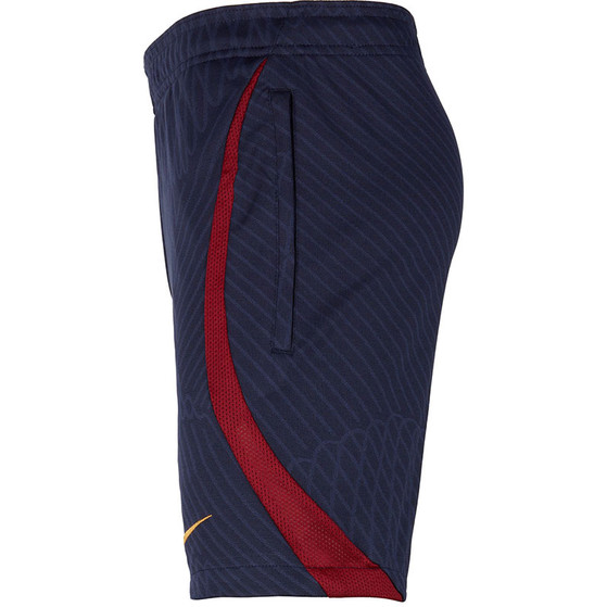 Nike Paris Saint-Germain Strike Short Kids