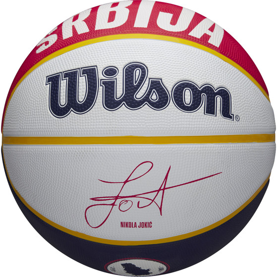 Wilson NBA Player Local