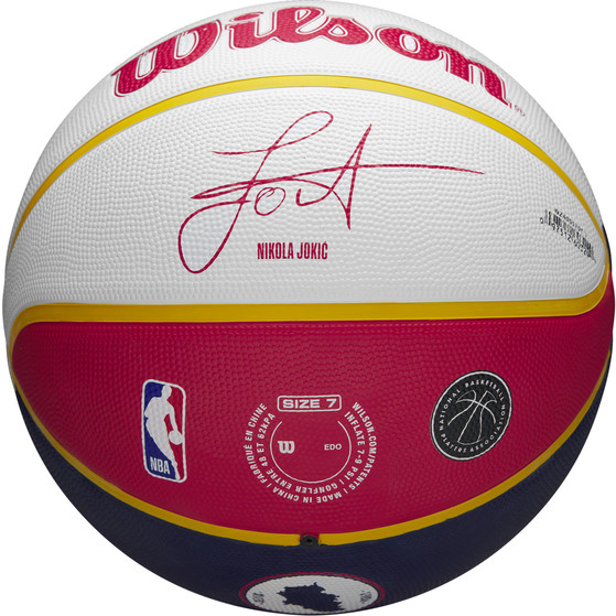 Wilson NBA Player Local