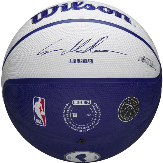 Wilson NBA Player Local