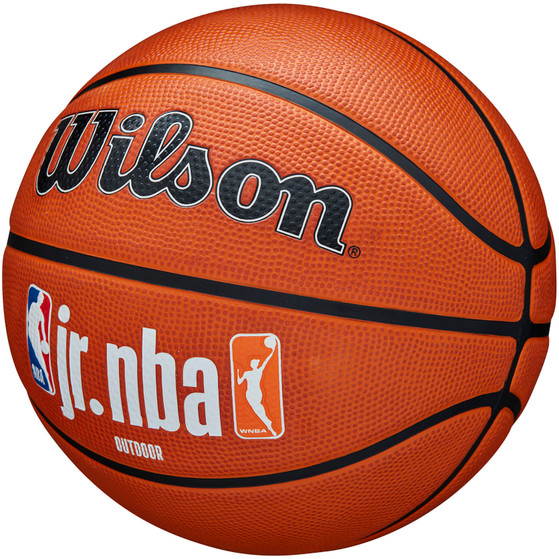 Wilson Jr. NBA Family Logo Authentic Outdoor
