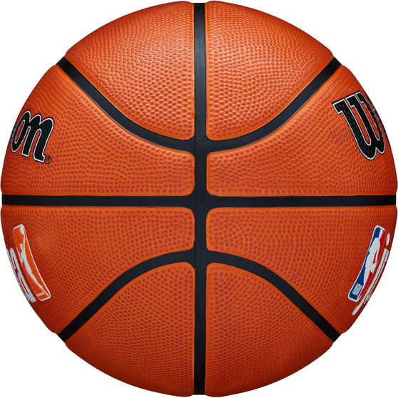 Wilson Jr. NBA Family Logo Authentic Outdoor