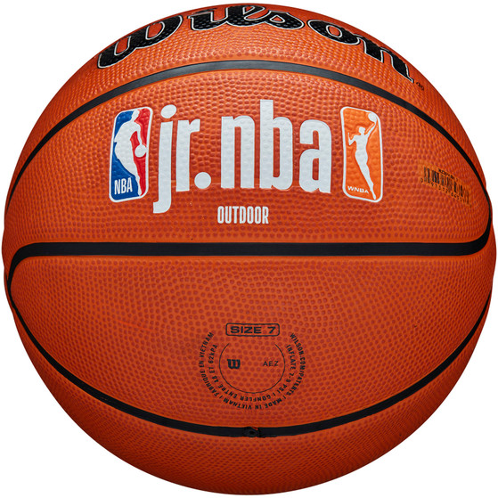Wilson Jr. NBA Family Logo Authentic Outdoor