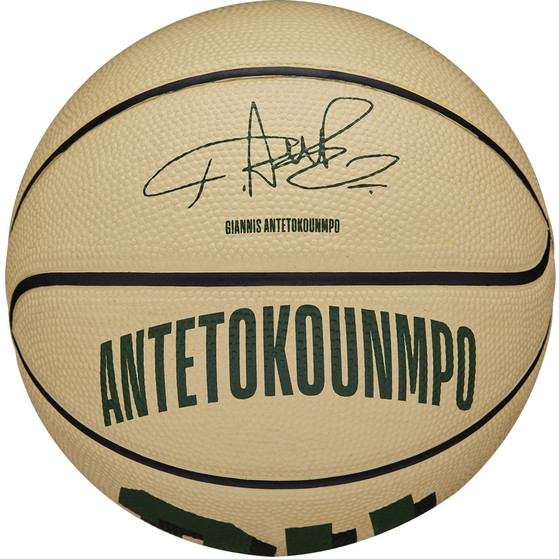 Wilson NBA Player Icon Mini