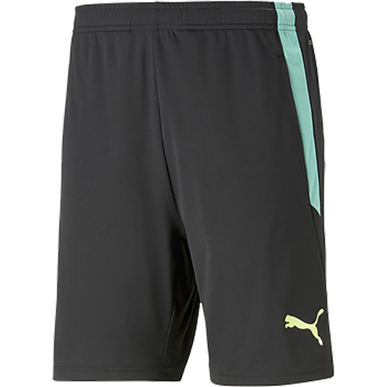 Puma LIGA Trainingsset Kids
