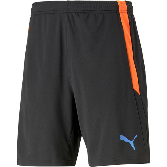 Puma LIGA Training Short