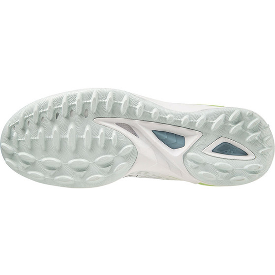 Mizuno Wave Leopardus