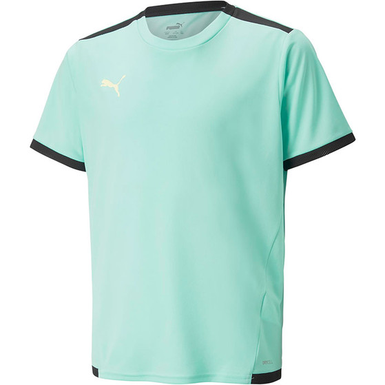 Puma LIGA Trainingsset Kids