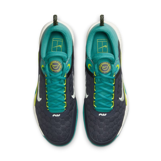 Nike Court Zoom NXT Heren