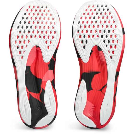 ASICS Noosa TRI 15 Herren
