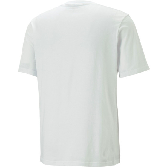 PUMA Handboll T-shirt Herren