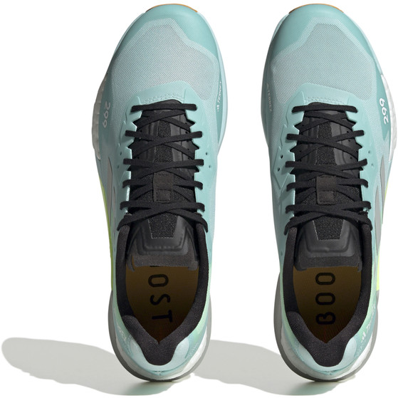 adidas Terrex Agravice Ultra Heren