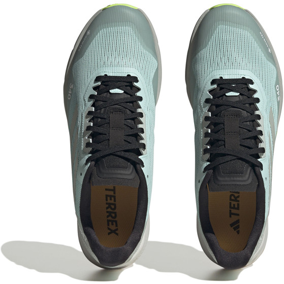 adidas Terrex Agravic Flow 2 GTX Heren