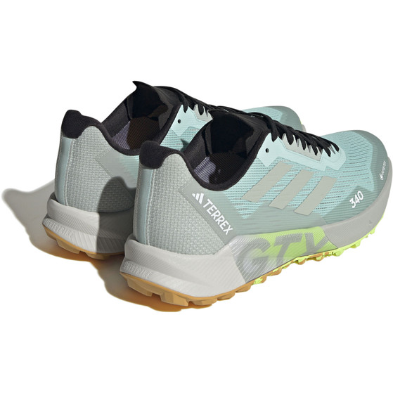 adidas Terrex Agravic Flow 2 GTX Heren