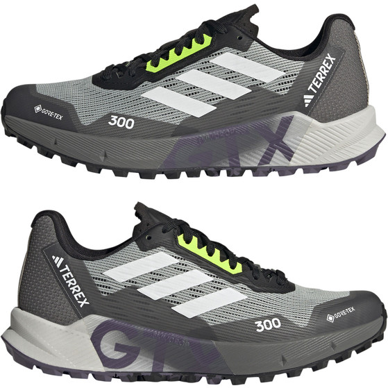 adidas Terrex Agravic Flow 2 GTX Damen