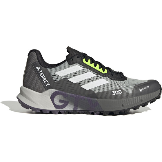 adidas Terrex Agravic Flow 2 GTX Damen