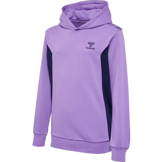 Hummel Staltic Cotton Hoodie Kids