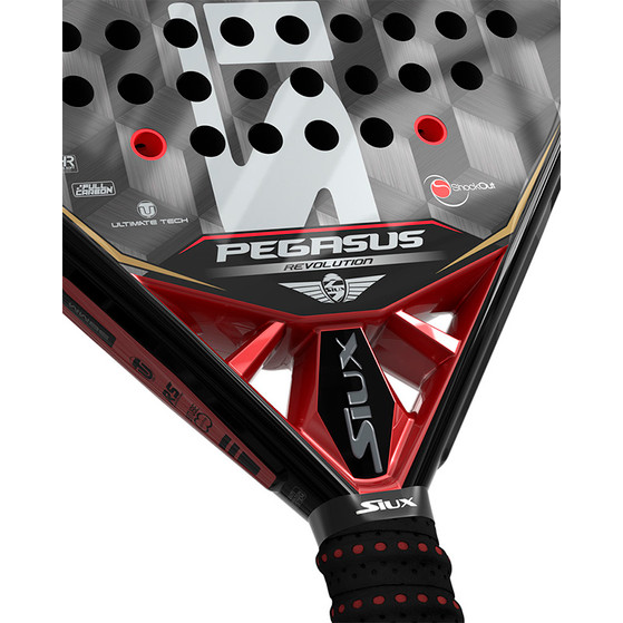 Siux Pegasus Revolution Cube