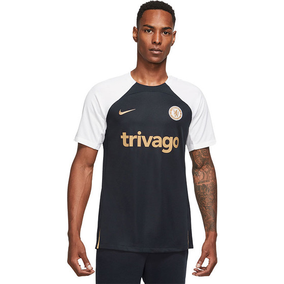 Nike Chelsea Strike Trainingsset