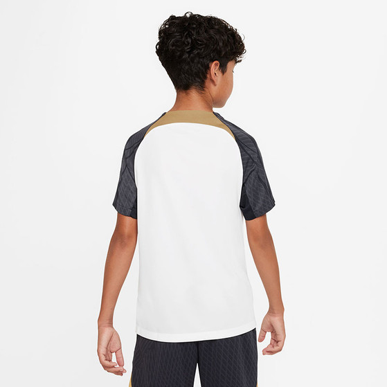Nike Chelsea Strike Trainingsset Kids