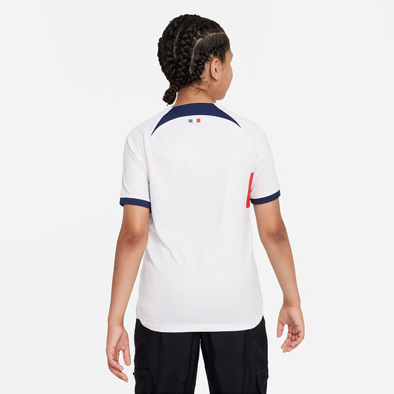 Nike Paris Saint-Germain Uit Tenue Kids