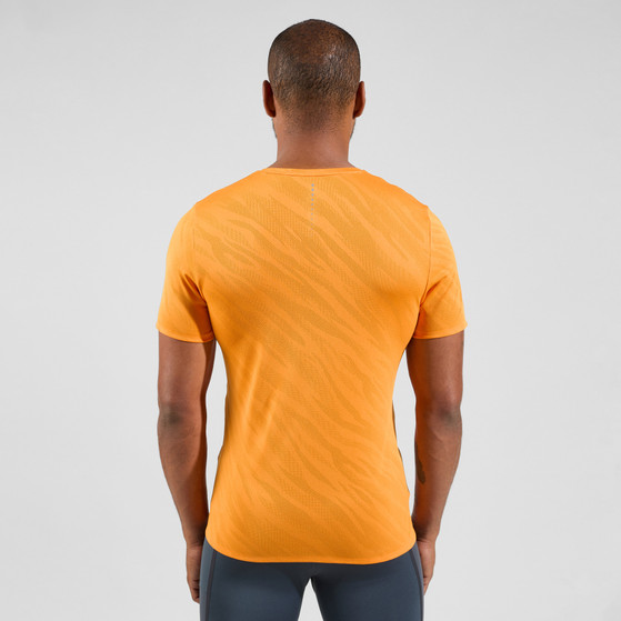 Odlo Zeroweight Chill-Tec T-shirt Heren