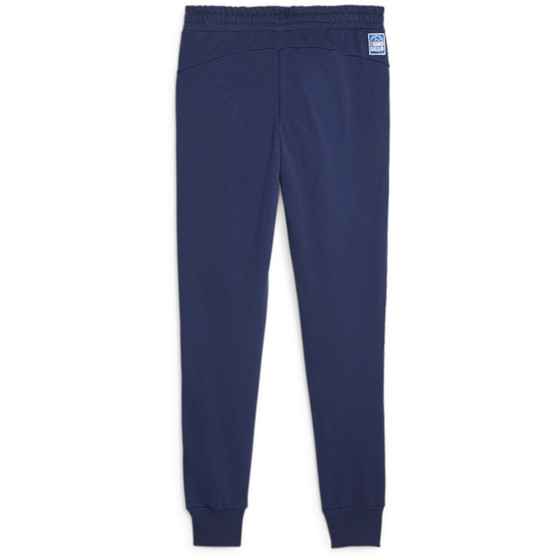 Puma Handball Pants Men