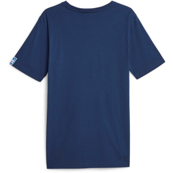 Puma Handball Tee Men