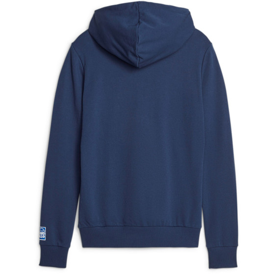 Puma Handball Hoodie Women