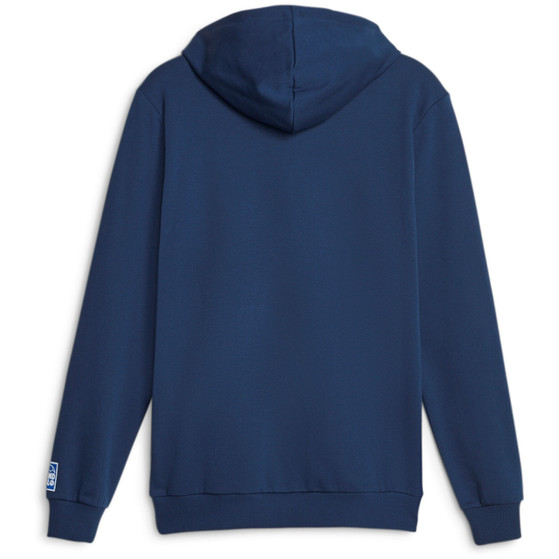 Puma Handball Hoodie Men