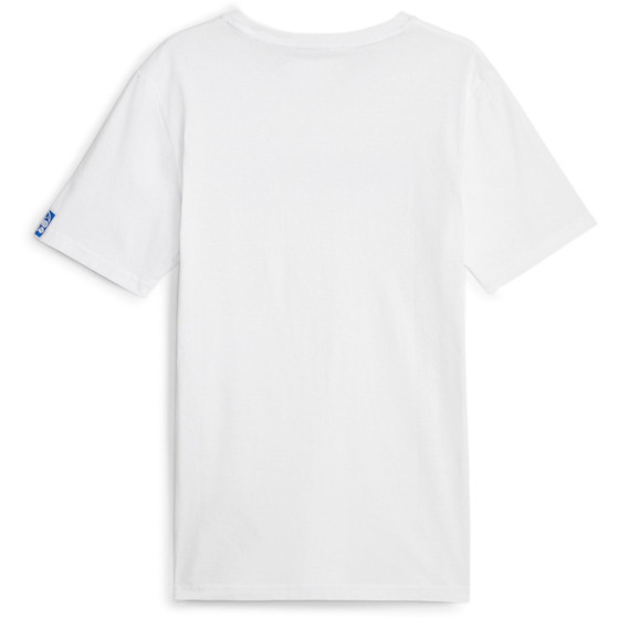 Puma Handball Tee Herren