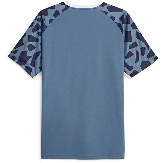 Puma Team Liga Graphic Tee