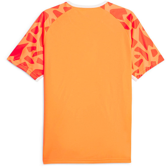 Puma Team Liga Graphic Tee