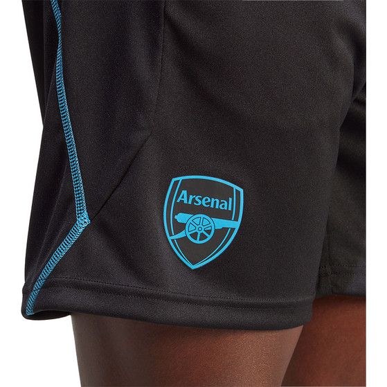 adidas Arsenal Pre-Match Trainingsset
