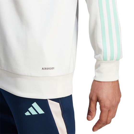 adidas Ajax TK Hoody 2023/2024