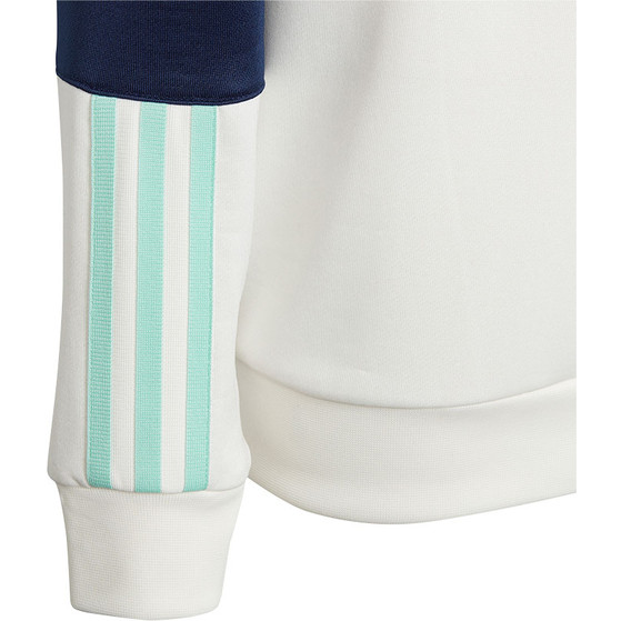 adidas Ajax TK Hoody Trainingsanzug Kinder
