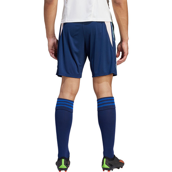 adidas Ajax Trainingsset
