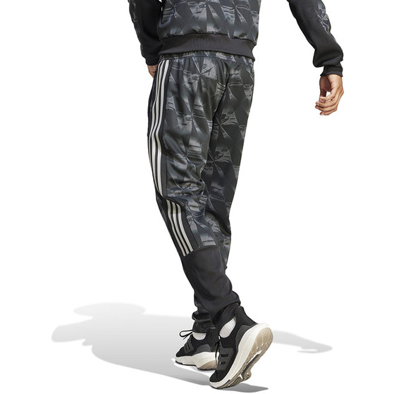 adidas Ajax Track Pant 2023/2024
