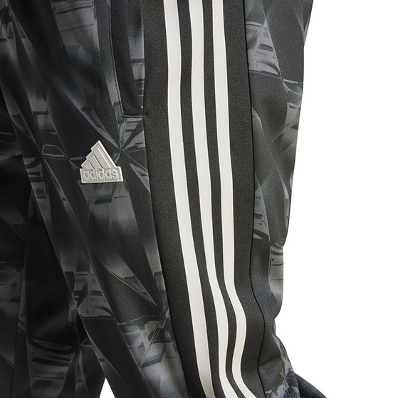 adidas Ajax Track Pant 2023/2024