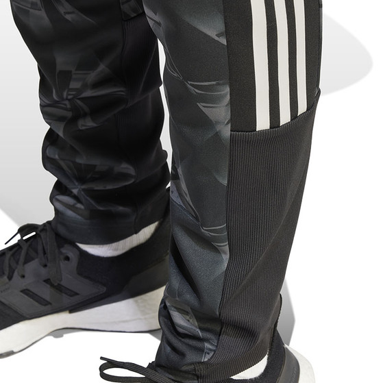 adidas Ajax Track Pant 2023/2024