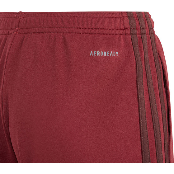 adidas Bayern München 3rd Short Kids 2023/2024