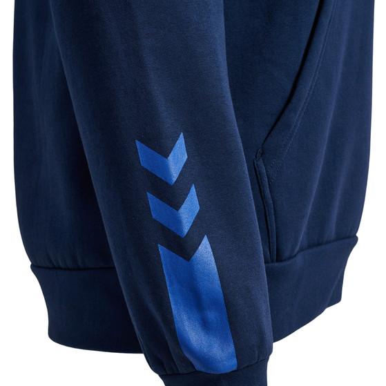 Hummel Active Cotton Hoodie Men