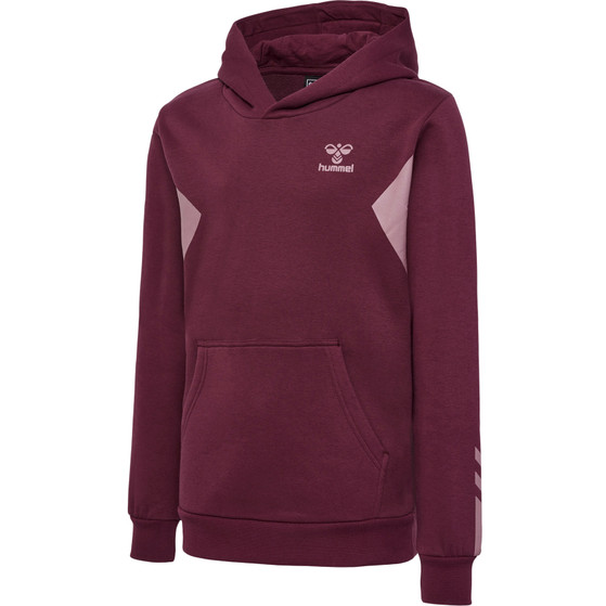 Hummel Active Cotton Hoodie Kinder