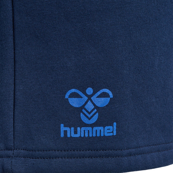 Hummel Active Cotton Shorts Men