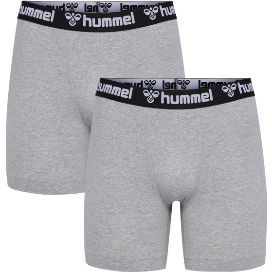 Hummel Boxers 2-pack