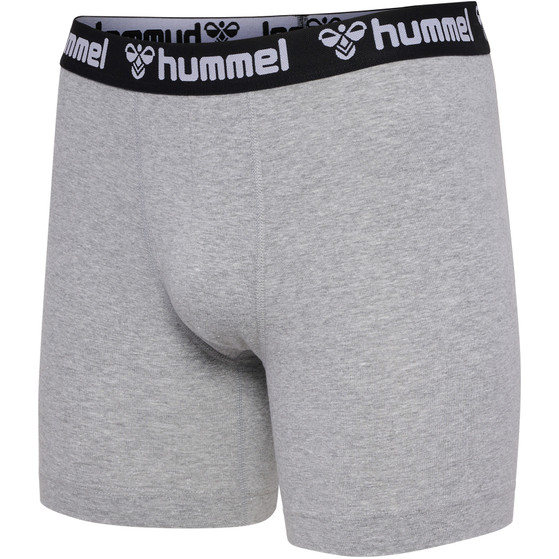 Hummel Boxers 2-pack