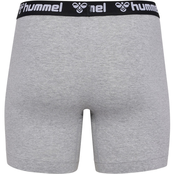 Hummel Boxers 2-pack