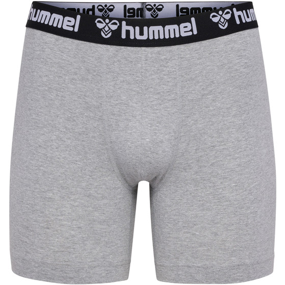 Hummel Boxers 2-pack